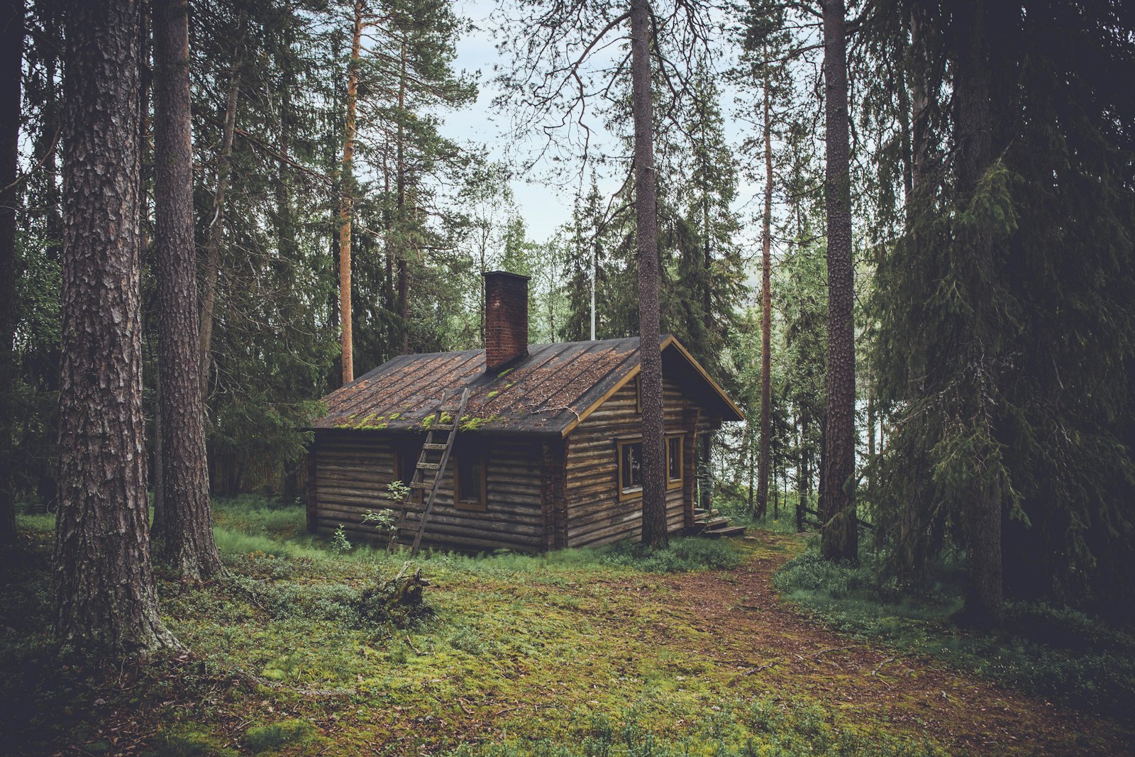 Timber cabin-style addition surrounded by trees